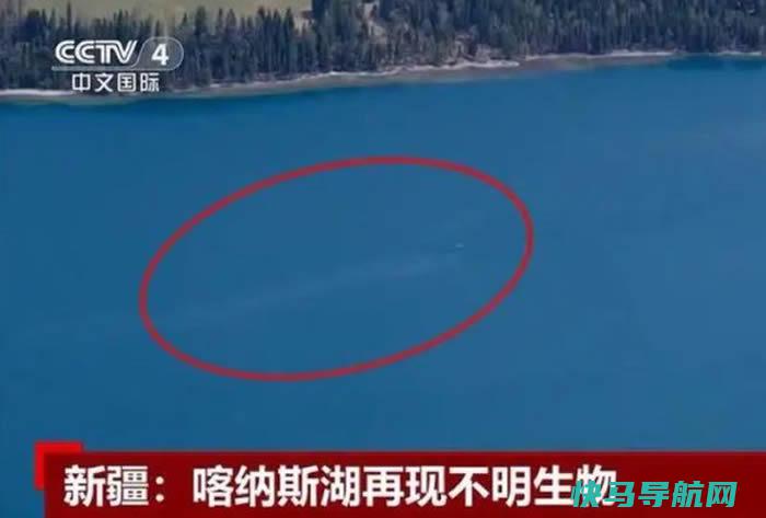 新疆喀纳斯湖“水怪”现身？巨大“不明生物”在水面游动掀起大片白色水花