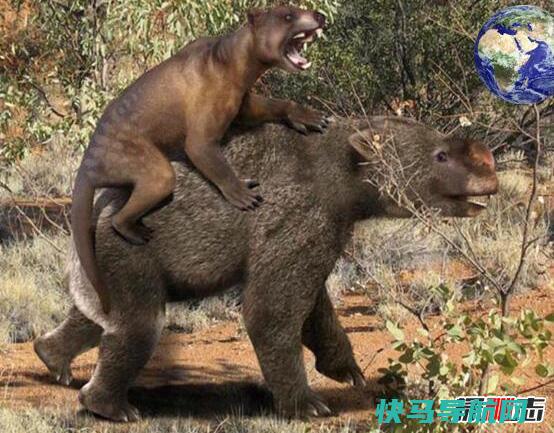 澳大利亚最大食肉动物袋狮，咬合力超强称霸草原(已灭绝)