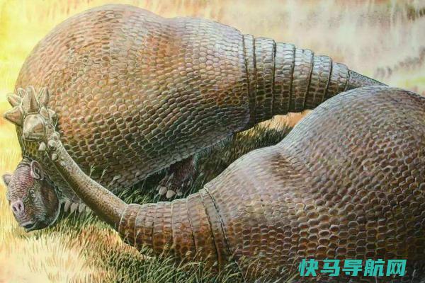 犰狳的祖先是什么动物?尾巴长满尖刺(带有2米宽板甲)