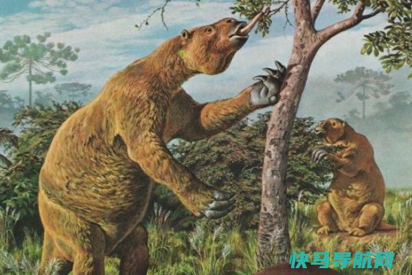 树懒的祖先是什么动物?是现代树懒的500倍大(拥有巨爪)