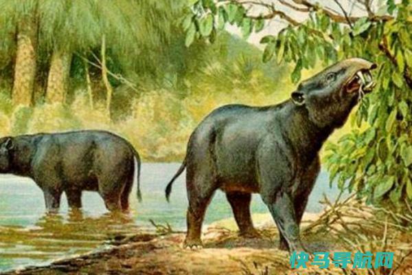 大象的后人是什么生物?始祖象