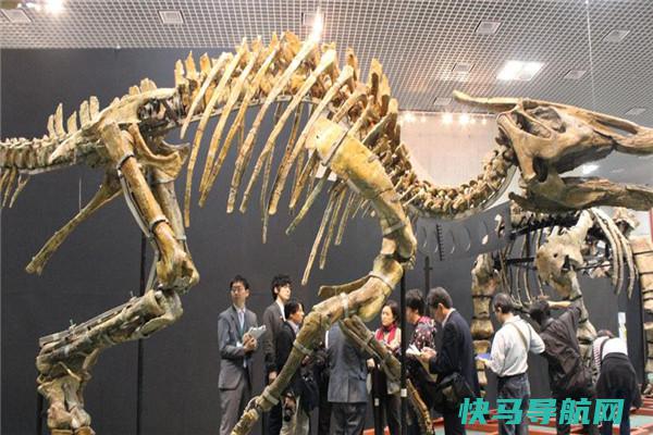鲸龙：侏罗纪时间的原始恐龙（蜥脚类的恐龙）