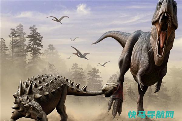 甲龙：长达6.5米宽达1.5米高达1.7米（相当庞大的恐龙）