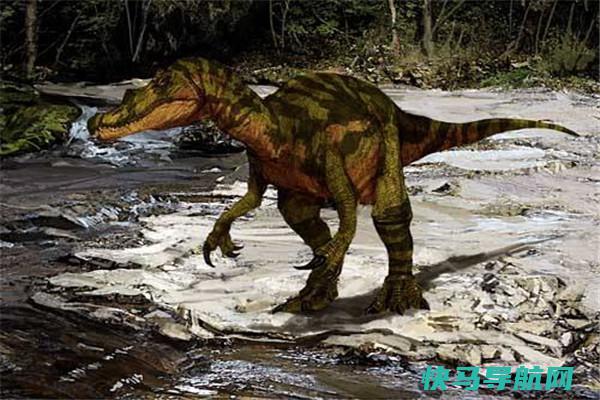 角爪龙：生活在白垩纪的早期的恐龙（相关分类不明白）