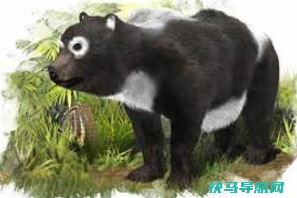 熊猫后人是什么生物?八百万年前只吃肉类(撕咬力惊人)