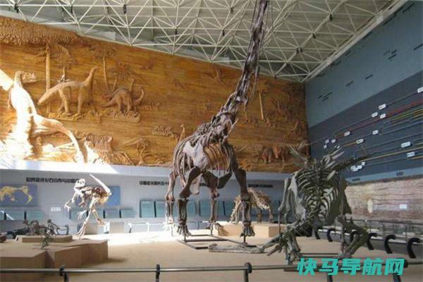 北边龙：辽宁的巨型食草恐龙（化石初次发现于中国辽宁）