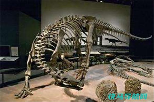刃齿龙：欧洲发现的新角龙类恐龙（鸟臀目标恐龙）