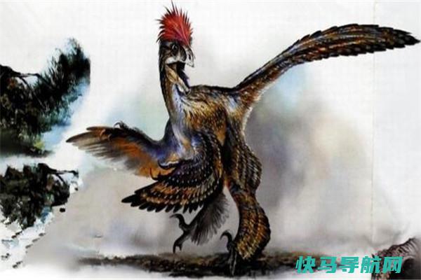 近鸟龙：色调斑斓的大型生物（属于小型恐龙）