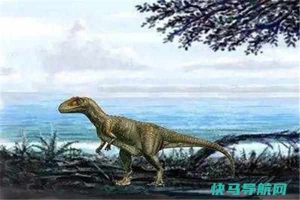 气腔龙：兽脚亚目中的一种（生活在白垩纪早期的恐龙）