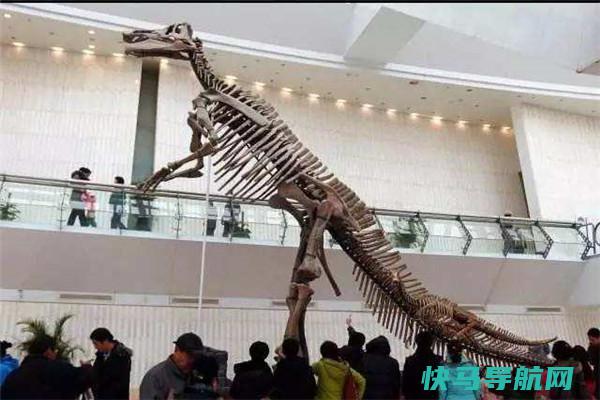 斯文龙：大型恐龙里的粗劣代表（生存中侏罗纪期间）