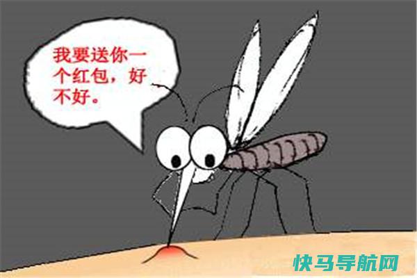 恐惧虫：一种稀有的蚊子 由于外形奇丑而得名