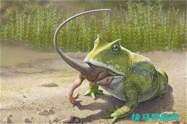 捕食恐龙的史前霸主魔鬼蛙 体型渺小甚至可以捕食恐龙