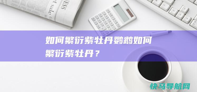 如何繁衍紫牡丹鹦鹉 (如何繁衍紫牡丹？)