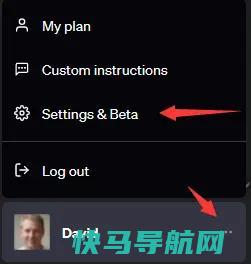  Plugins 插件