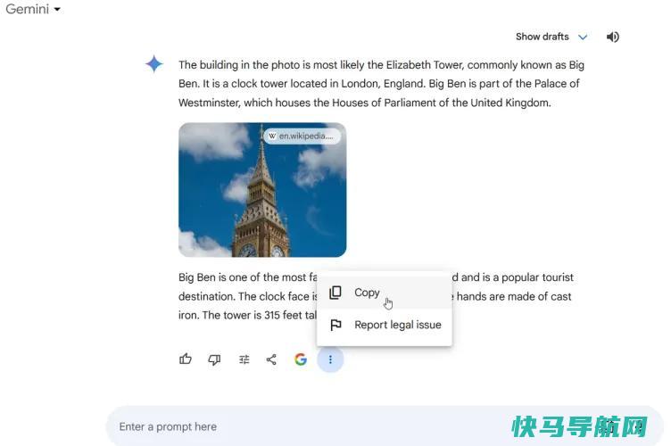 文章:《如何使用谷歌双子座AI：让你的生活更轻松的14种方法》_配图13