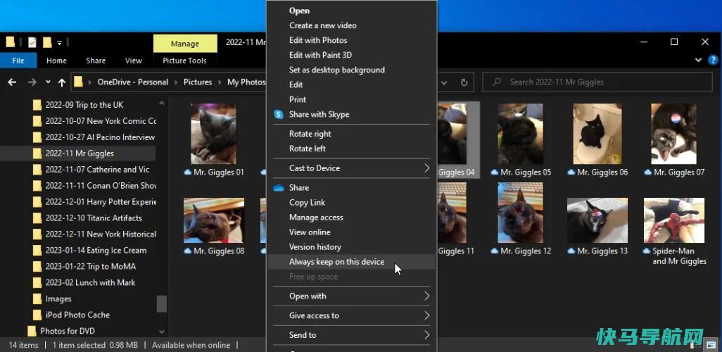 文章:《如何在Microsoft OneDrive中管理、同步和共享文件》_配图10