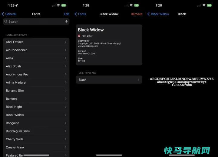 文章:《你是什么类型的？如何在iPhone或iPad上添加自定义字体》_配图5