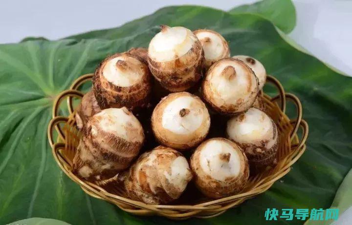 体质差肠胃差的一定要多吃它长得丑却堪比人参