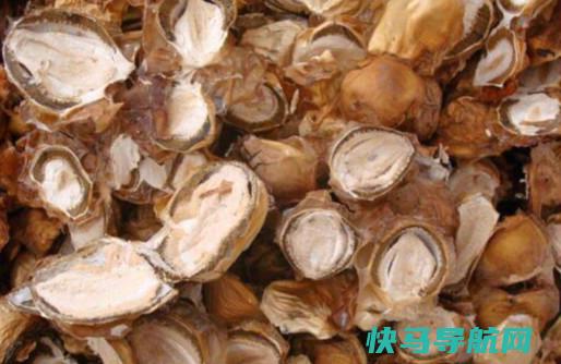 怎么泡发干竹胎儿 干竹胎儿的正确泡发方法
