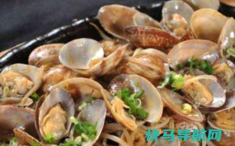 文蛤吃文蛤的食用