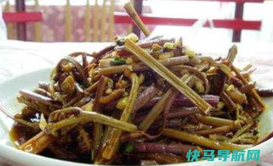 盐蕨菜做盐蕨菜的做法大全