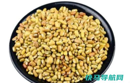 巴山豆的和作用巴山豆的药用价值