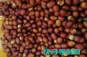 大枣千万别直接吃了，多加一步，营养提高二十倍，从此告别黄脸婆