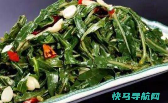苦菜怎么做苦菜的吃法