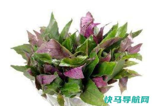 紫贝菜的功效与作用及食用方法