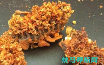 海参花的与吃法