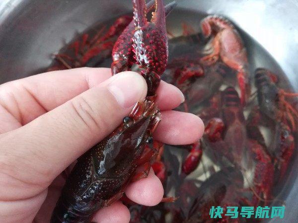 原来小还可以这么吃，好吃又好看，增强食欲感