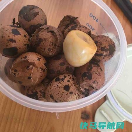 12月它，促进大脑发育，聪明机敏，个子