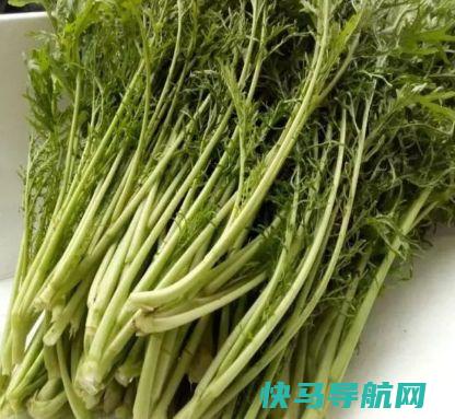 农村这种野菜，可以用来做咸菜，对牙龈上火很管