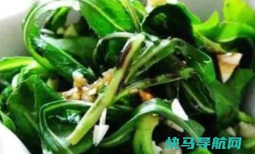 野生苦菜怎么吃野生苦菜的正确吃法