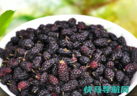 女人吃桑葚的女人吃桑葚的
