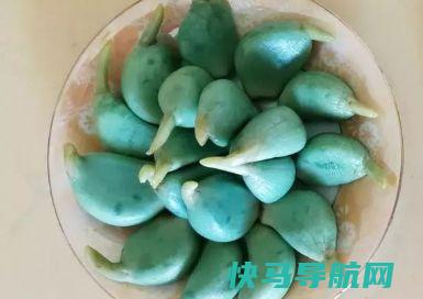 腌制腊八蒜时，别只会加醋，多，腊八蒜又脆又绿