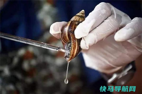 它是四大名菜之一，比鱼翅鲍鱼排名还靠前，法国人爱