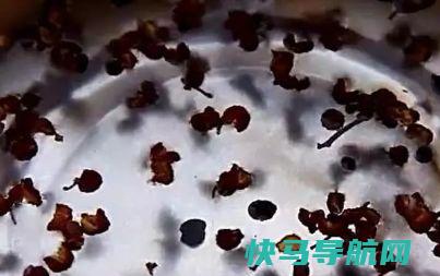 白菜猪肉饺子，调馅时这样调，饺子鲜美，比三鲜饺