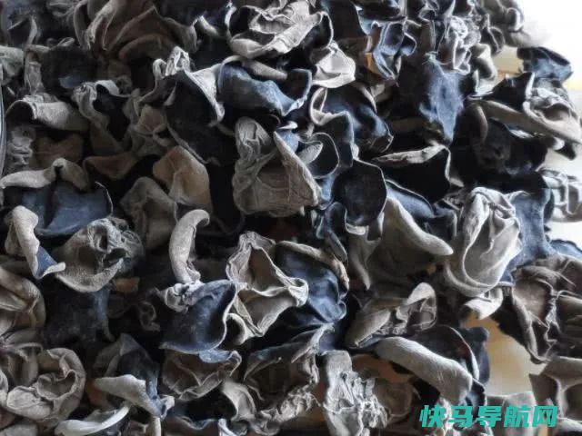 木耳千万不要直接加水泡，教你一招，2分钟泡发，又大又软