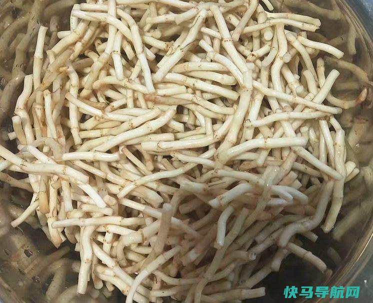 天冷，每天炒一盘，又，嘴巴不臭了，提