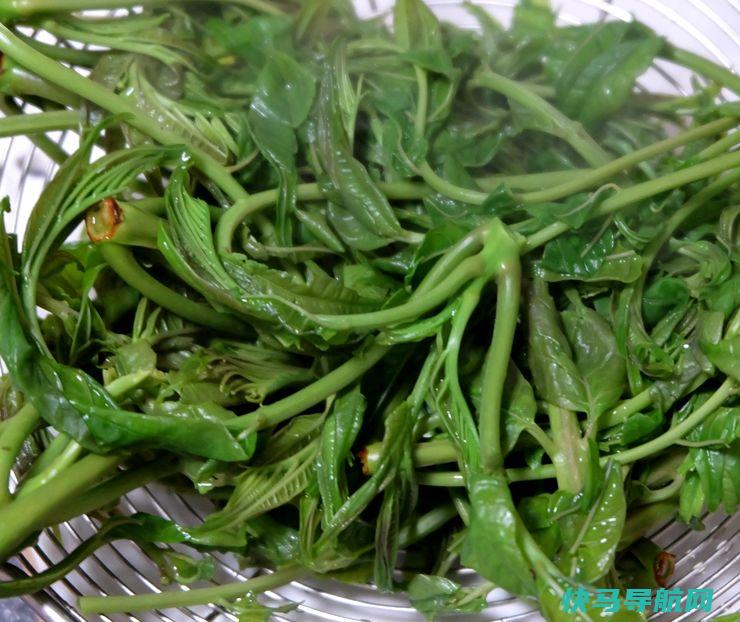 这菜6成人嫌弃，隔天吃一盘，肌肤白净，软化血管，肠道