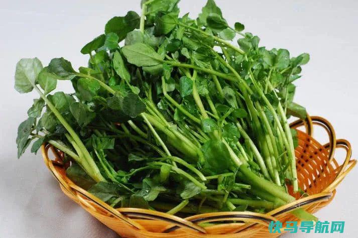 冬季，不吃此菜亏大了，气血足了，排出毒素，肝脏越来越