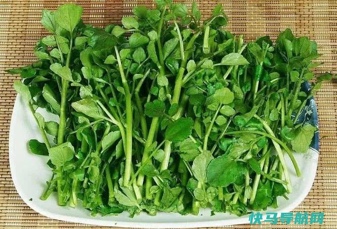 冬季，不吃此菜亏大了，气血足了，排出毒素，肝脏越来越