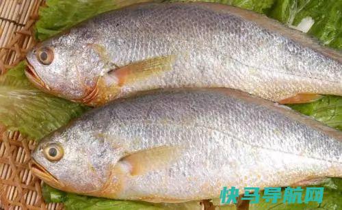 做鱼想去腥，加酒加醋都是大错特错这才的