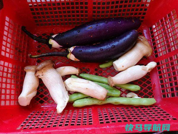 茄子和它才是天生一对，我家隔三差五就吃1次，不放