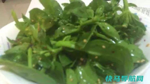 天然阿莫西林就是它，秋季常吃，强健体质，清热解毒