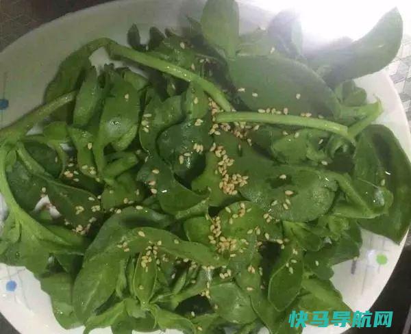 天然阿莫西林就是它，秋季常吃，强健体质，清热解毒