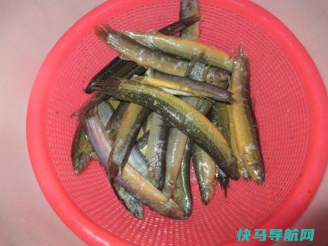 泥鳅这样做，简单方便营养足，这道菜，家人有口福