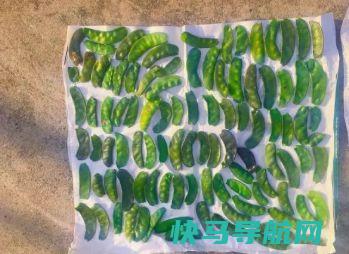 秋天遇到这菜我从不犹豫，一次买10斤，焯水后晒白，放