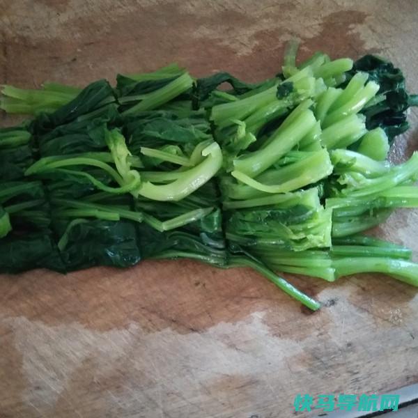 这菜贫血的人要多吃，补钙明目，做法简单，现在吃正合